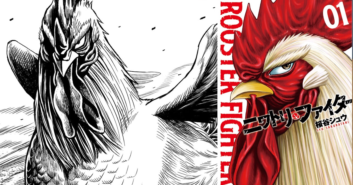 Rooster Fighter