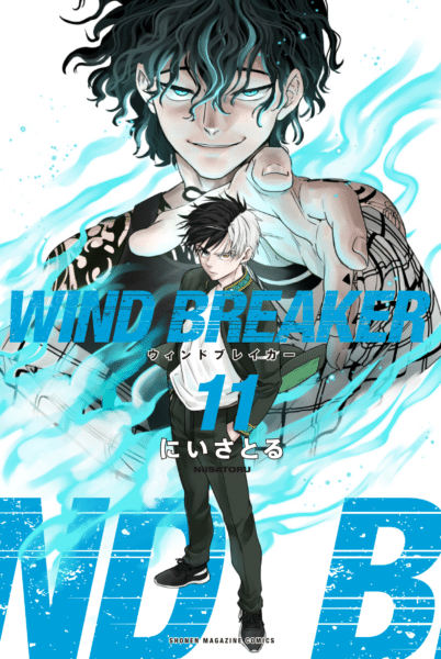 Wind Breaker