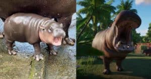 Planet_Zoo_Sale Steam Hippo Trend cover 00