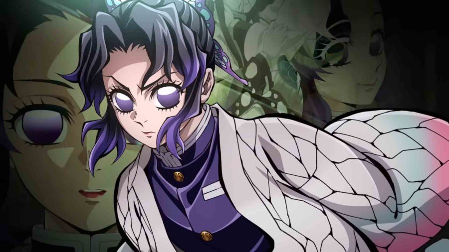 Demon Slayer: Kimetsu no Yaiba Infinity Castle