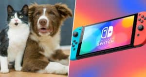 pet_switch_featured